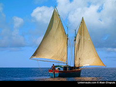 Seguimos descubriendo el mundo con Gerardo Shulma, Madagascar 4
