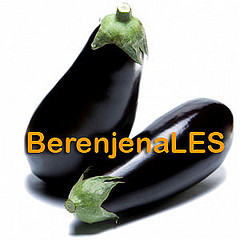 berenjenaLES