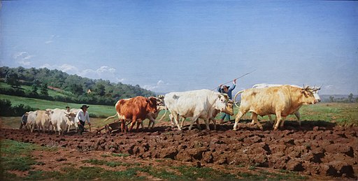 Musée d'Orsay - Rosa Bonheur - Labourage nivernais - 001