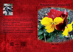 Cubierta de Pensamientos pequeños