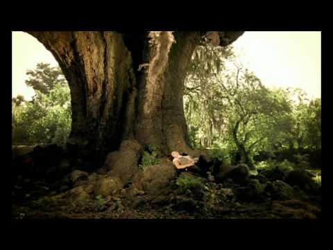 Imagen de previsualización de YouTube