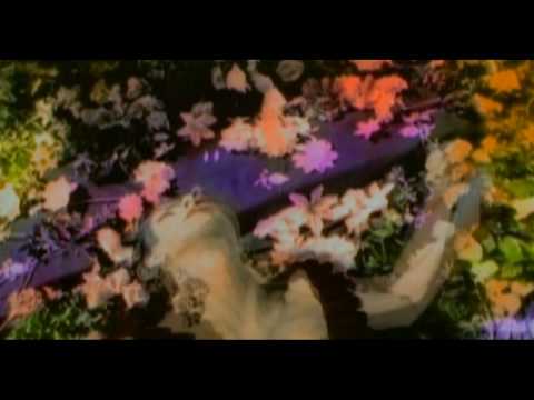 Imagen de previsualización de YouTube