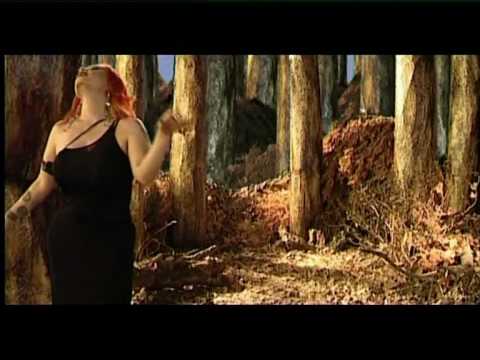 Imagen de previsualización de YouTube